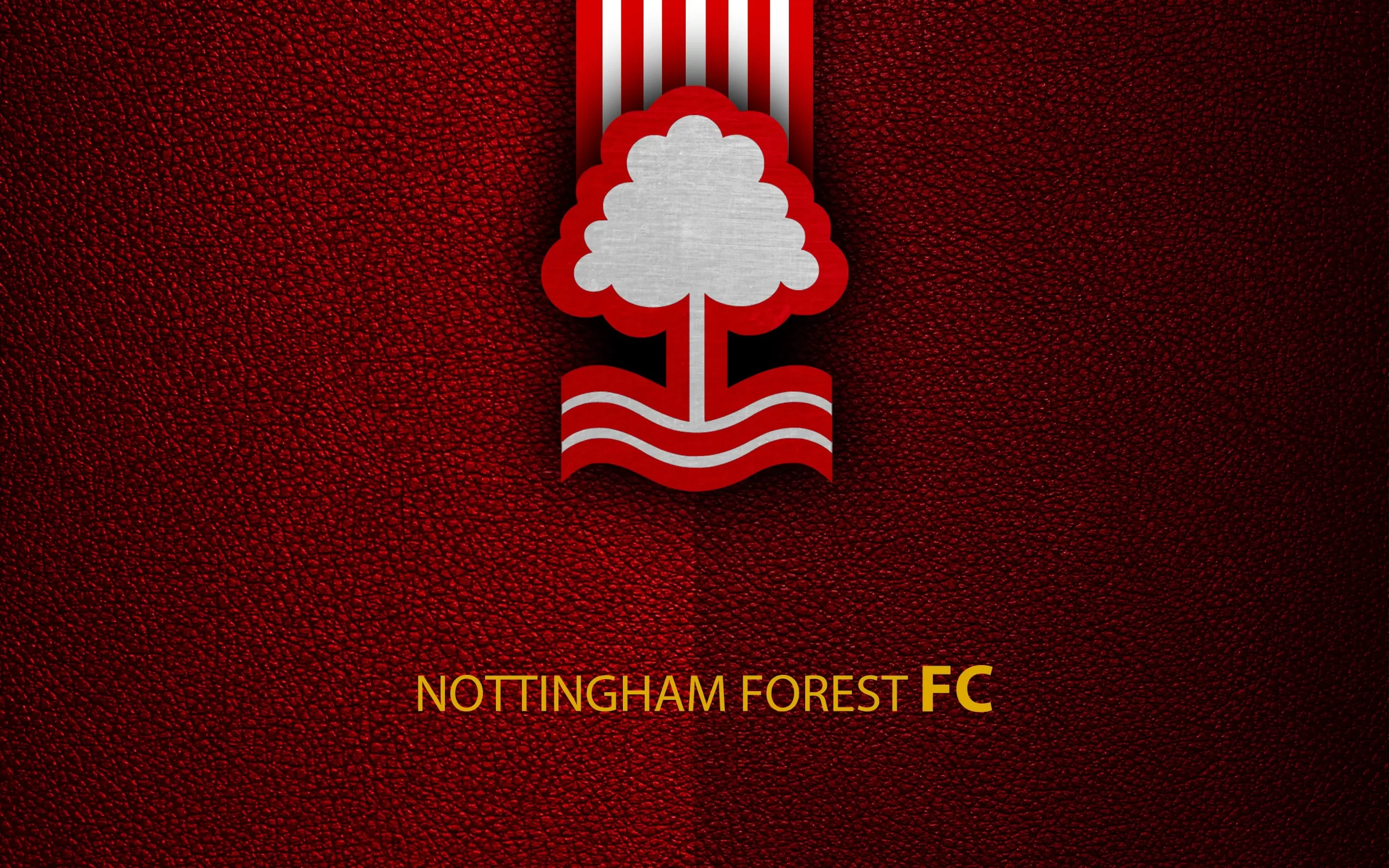 Nottingham Forest FC being handed a 4-point deduction after breaching the Premier League's financial rules
